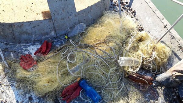 Незаконный вылов камбалы в Азовском море украинским судном Незаконный вылов камбалы в Азовском море украинским судном