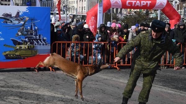 Кинолог с собакой во время демонстрационных выступлений на праздничных мероприятиях в честь Дня защитника отечества во Владивостоке Кинолог с собакой во время демонстрационных выступлений на праздничных мероприятиях в честь Дня защитника отечества во Владивостоке