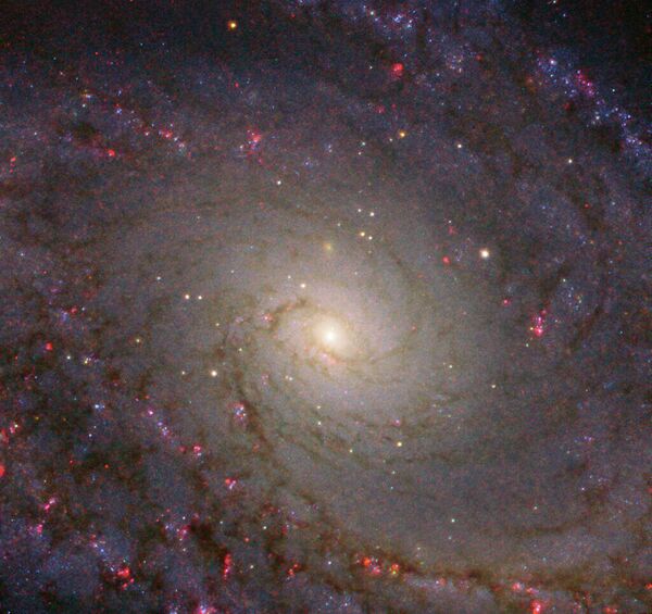 Спиральная галактика NGC 5364 Спиральная галактика NGC 5364