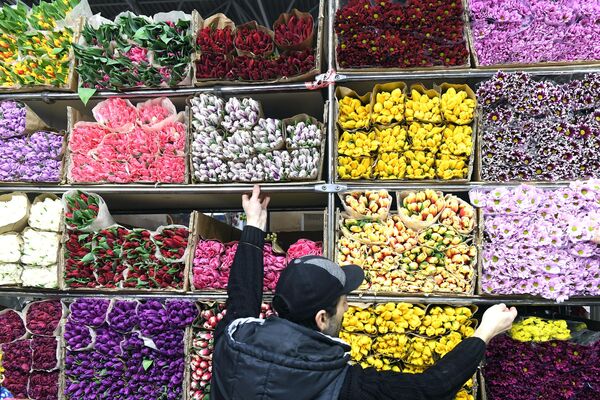 Продажа цветов на Рижском рынке в Москве Продажа цветов на Рижском рынке в Москве
