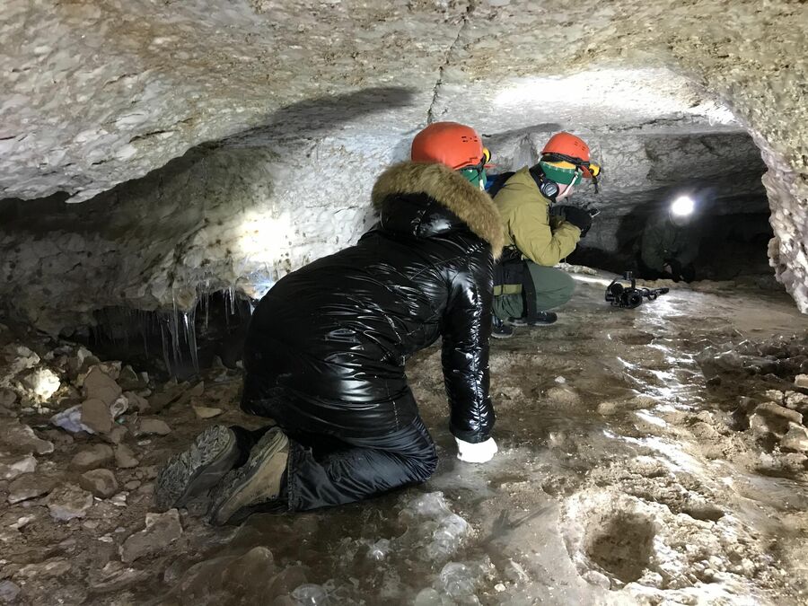 Ведущие программы Удиви меня Ведущие программы Удиви меня