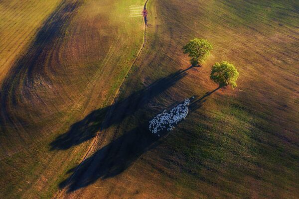 Marek Biegalski. Работа победителя конкурса Nature TTL Photographer of the Year 2020 Marek Biegalski. Работа победителя конкурса Nature TTL Photographer of the Year 2020
