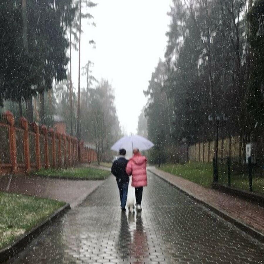 Собака выгуливает хозяев во время карантина Собака выгуливает хозяев во время карантина