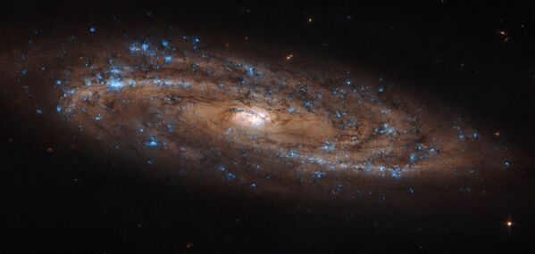Спиральная галактика NGC 4100 Спиральная галактика NGC 4100