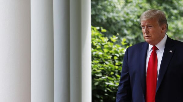 Президент США Дональд Трамп перед началом брифинг возле Белого дома в Вашингтоне Президент США Дональд Трамп перед началом брифинг возле Белого дома в Вашингтоне