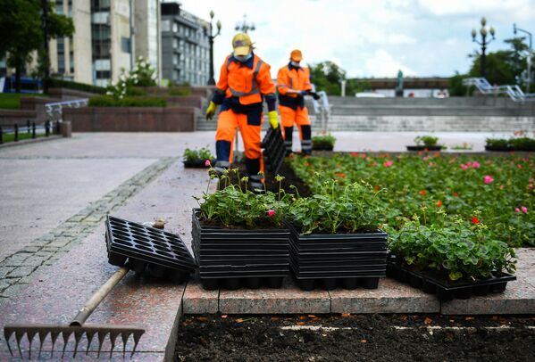 Высадка цветов в Москве Высадка цветов в Москве
