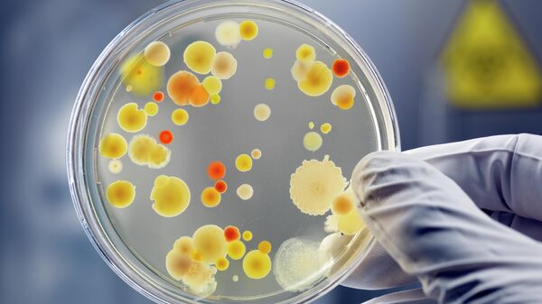 Биологи нашли "брешь" в обороне бактерий от антибиотиков