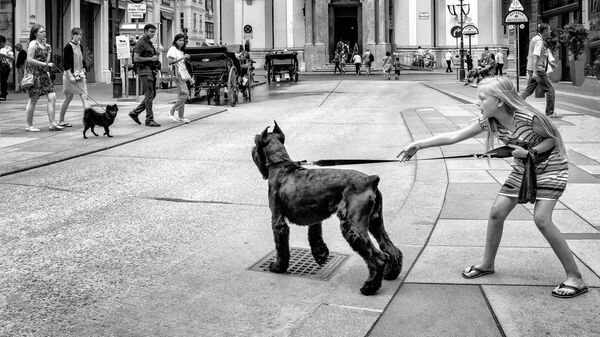 Gary White. Работа победителя конкурса фотографии Sony Alpha Awards 2020 Gary White. Работа победителя конкурса фотографии Sony Alpha Awards 2020