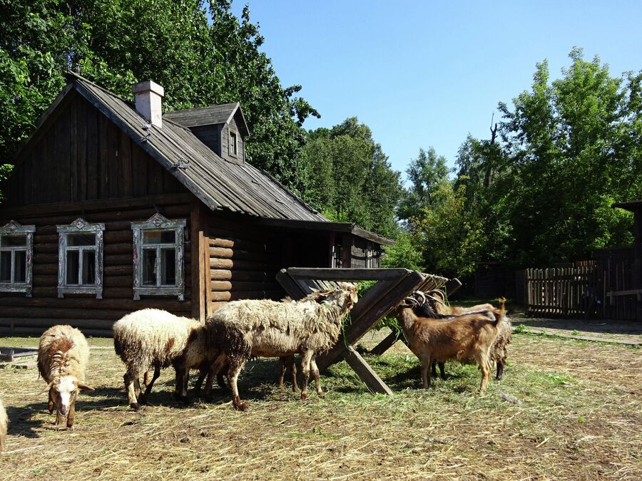 Кинодеревня и киногород Кинодеревня и киногород