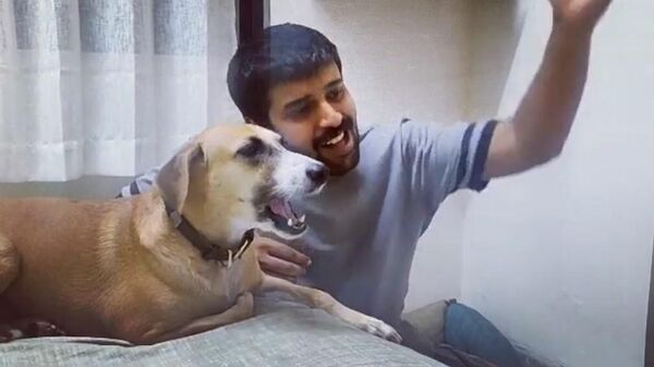 В сети стало вирусным видео с поющей собакой