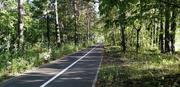 Велодорожка вдоль Кунеевского леса и улицы Родины в Тольятти Велодорожка вдоль Кунеевского леса и улицы Родины в Тольятти