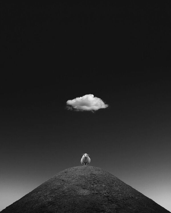 Kathrin Federer. Работа участника конкурса Minimalist Photographer Of The Year 2020 Kathrin Federer. Работа участника конкурса Minimalist Photographer Of The Year 2020