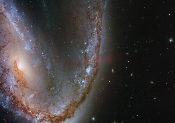Искаженная галактика галактика NGC 2442 в созвездии Летучая Рыба Искаженная галактика галактика NGC 2442 в созвездии Летучая Рыба