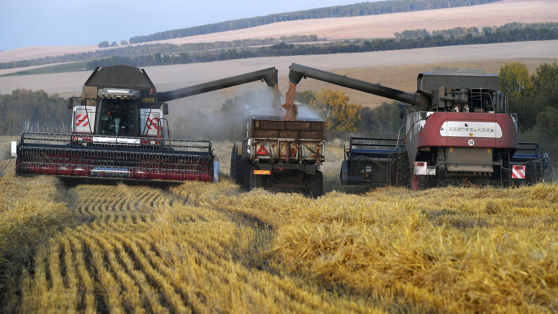Уборка урожая пшеницы в Красноярском крае Уборка урожая пшеницы в Красноярском крае - РИА Новости, 1920, 23.09.2020