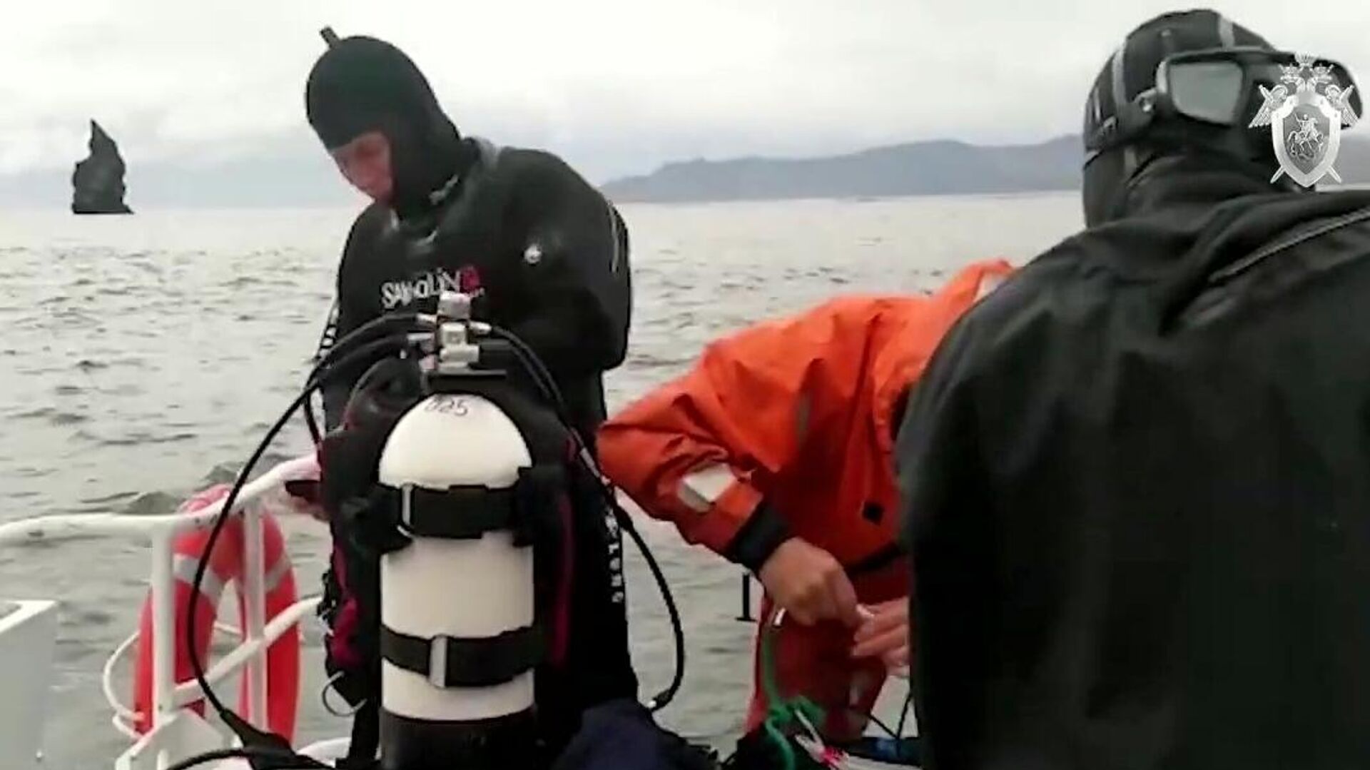 Гибель морских животных на камчатке 2020. Массовая гибель морских животных на Камчатке (2020). Массовая гибель морских животных на Камчатке. Катастрофа на Камчатке 2020 года. Камчатка 8 км мотоцикл.