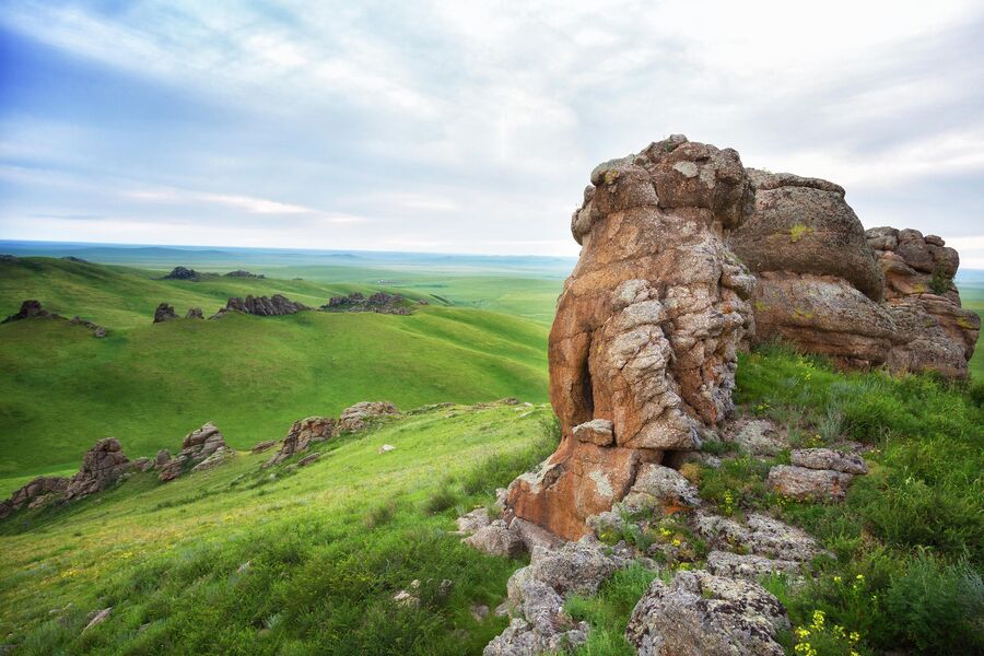 Заповедник Даурский, кордон Адон-Челон, горная степь Заповедник Даурский, кордон Адон-Челон, горная степь