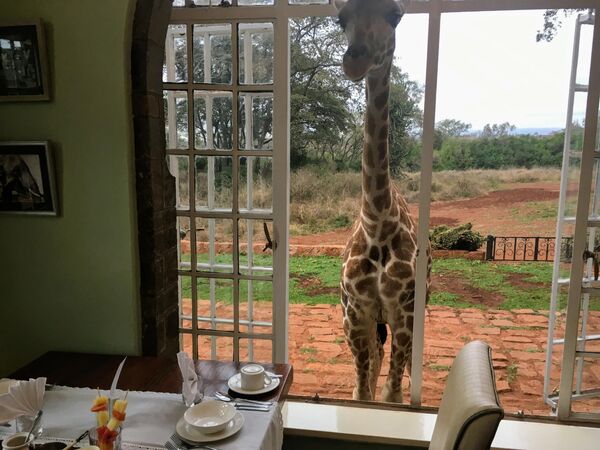 Отель Giraffe Manor Отель Giraffe Manor