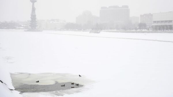 Moscow has set a daily record for precipitation Москва установила суточный рекорд по осадкам