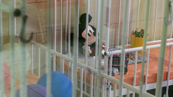 Круг добра решил проблему нового года в закупке лекарств