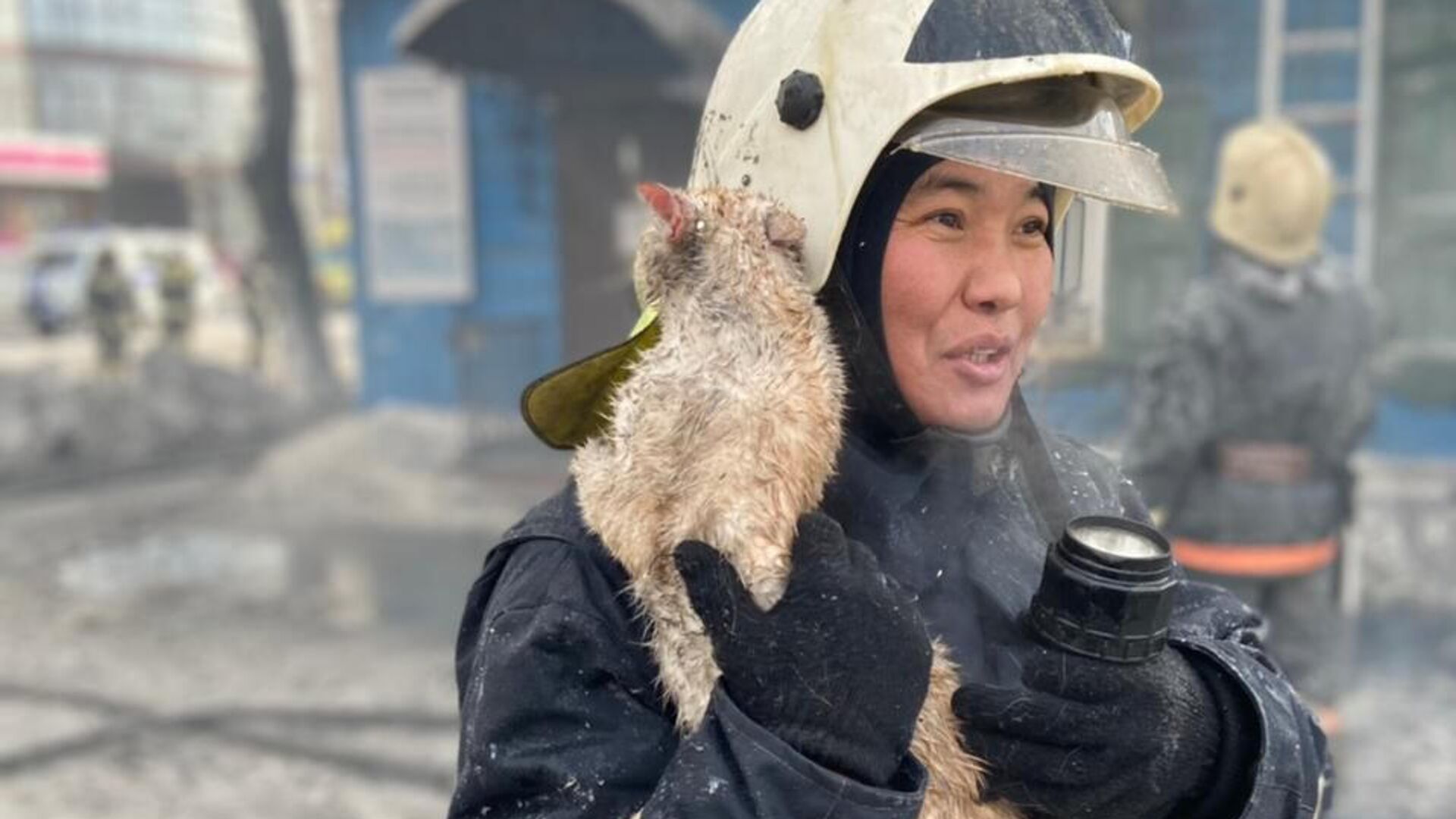 Кот, спасенный во время пожара в Иркутской области Кот, спасенный во время пожара в Иркутской области - РИА Новости, 1920, 17.02.2021