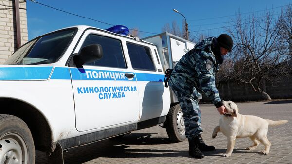 В МВД рассказали о пропавших под Хабаровском туристах
