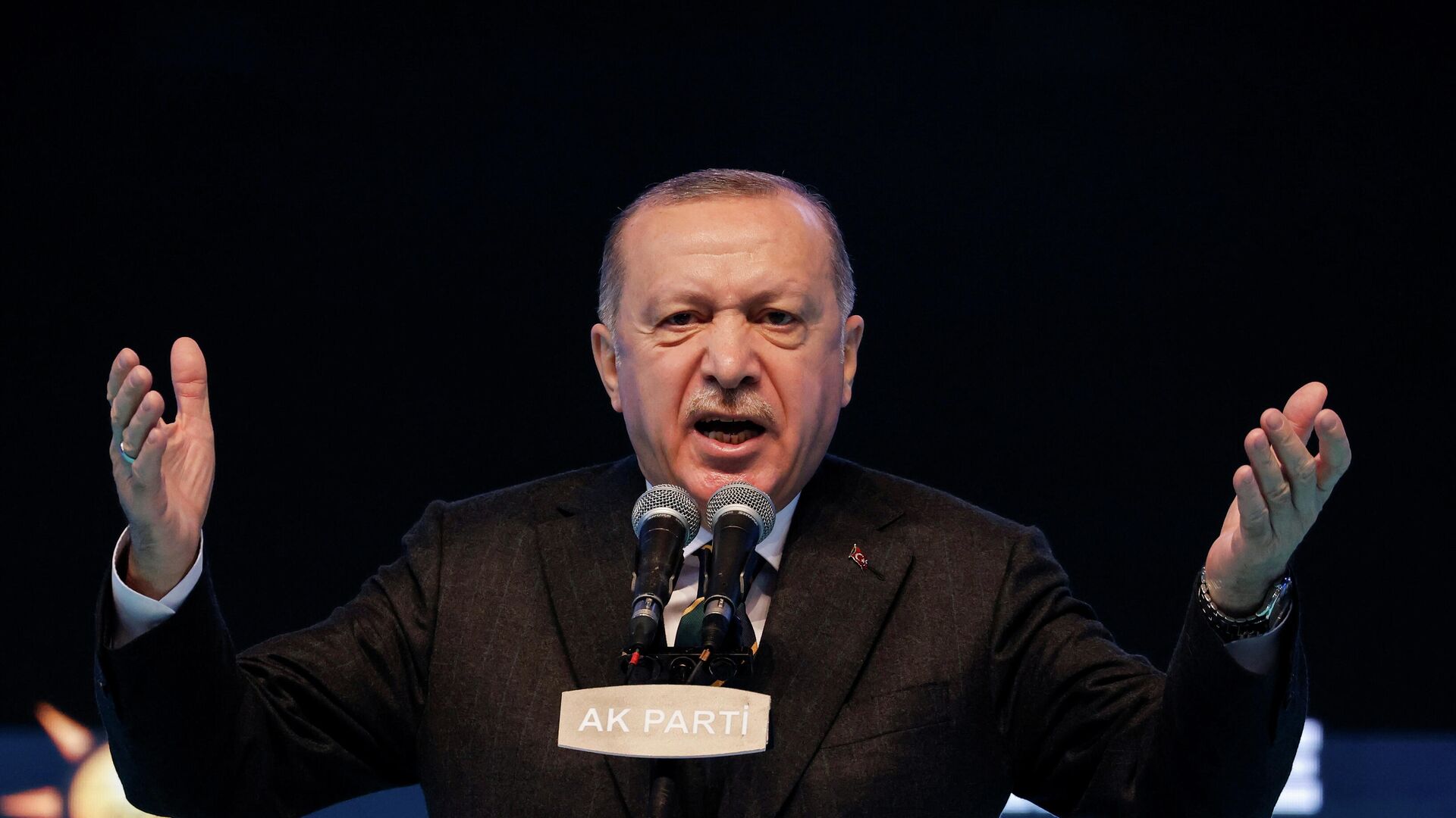 Президент Турции Реджеп Тайип Эрдоган во время выступления - РИА Новости, 1920, 04.08.2021