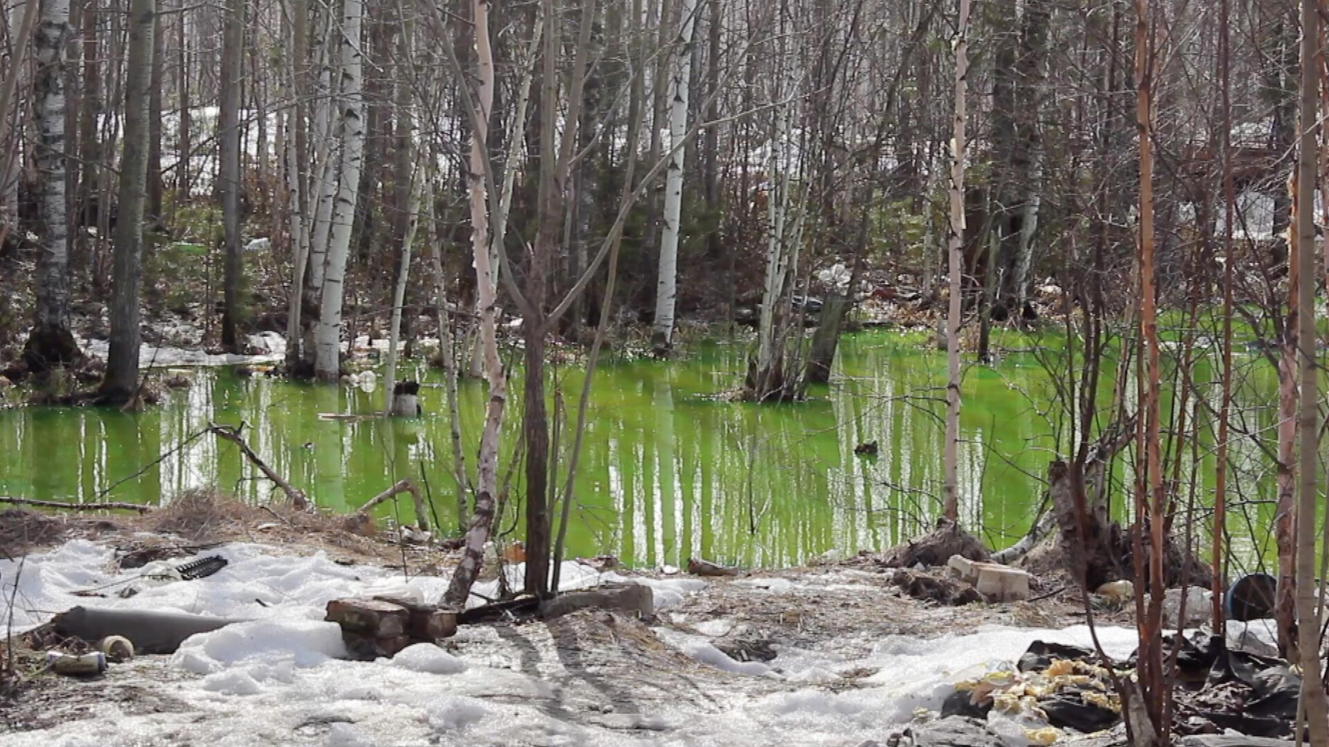 В Нижневартовске нашли озеро с кислотно-зеленой водой