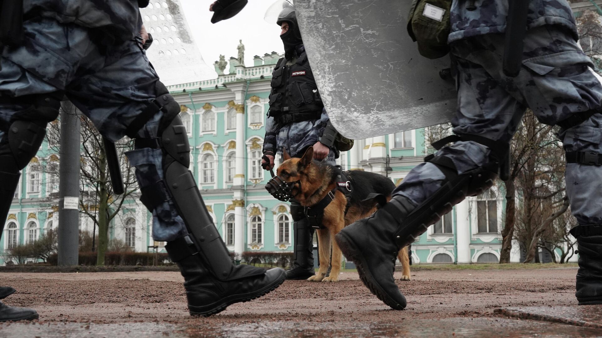 В Петербурге арестовали 31 участника несогласованной акции