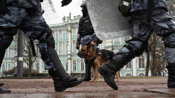 На незаконной акции в Петербурге раздался похожий на взрыв петарды хлопок