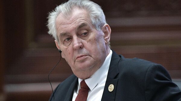 Земан рассказал, почему поддержал высылку российских дипломатов