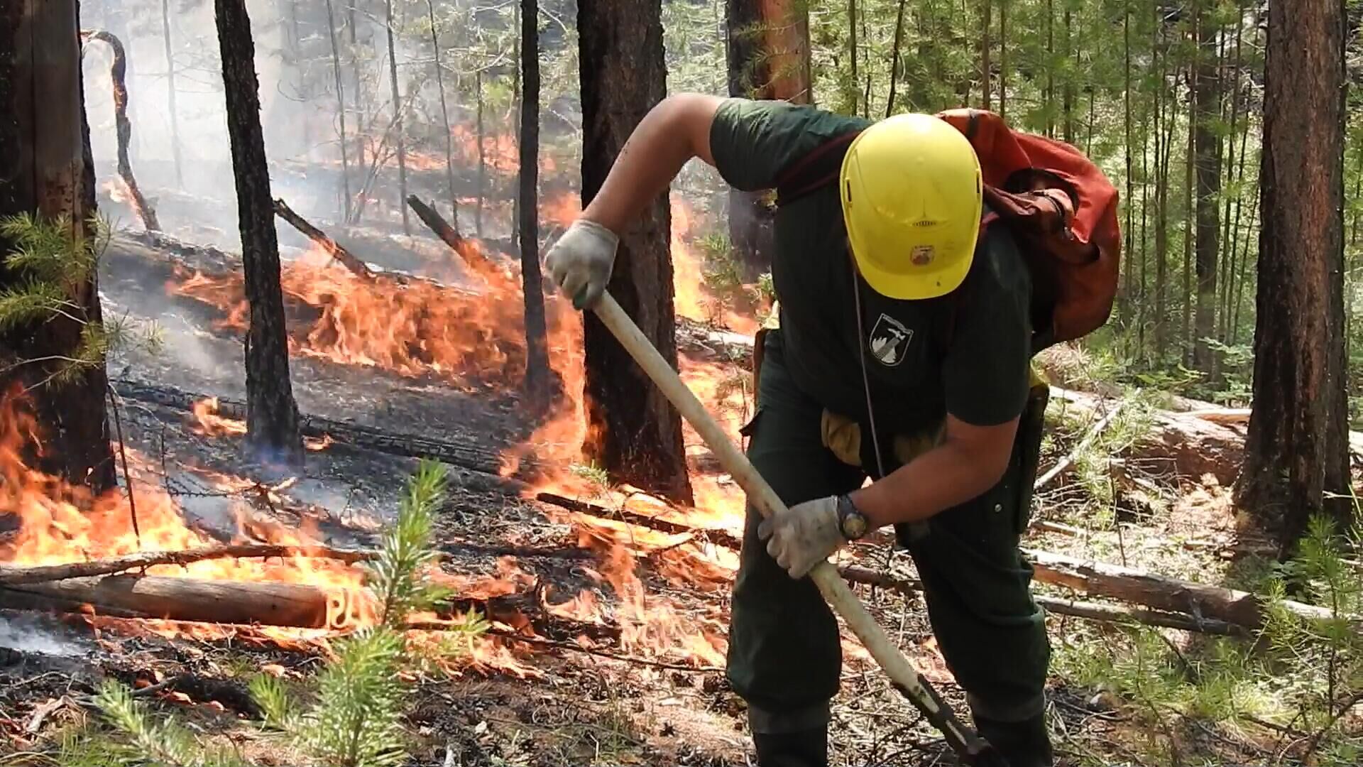 Площадь лесных пожаров в Югре превысила тысячу гектаров