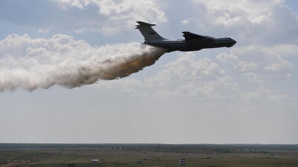Шойгу отправил Ил-76 для тушения пожара в Мордовском заповеднике