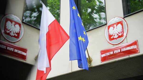 Польша направит гуманитарную помощь в Литву из-за миграционного кризиса 