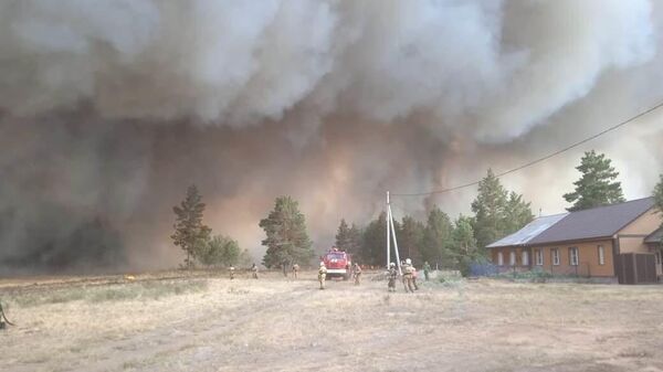 В Челябинской области лесной пожар перекинулся на 63 дома
