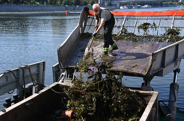Работа ГУП Мосводосток по очистке реки Работа ГУП Мосводосток по очистке реки