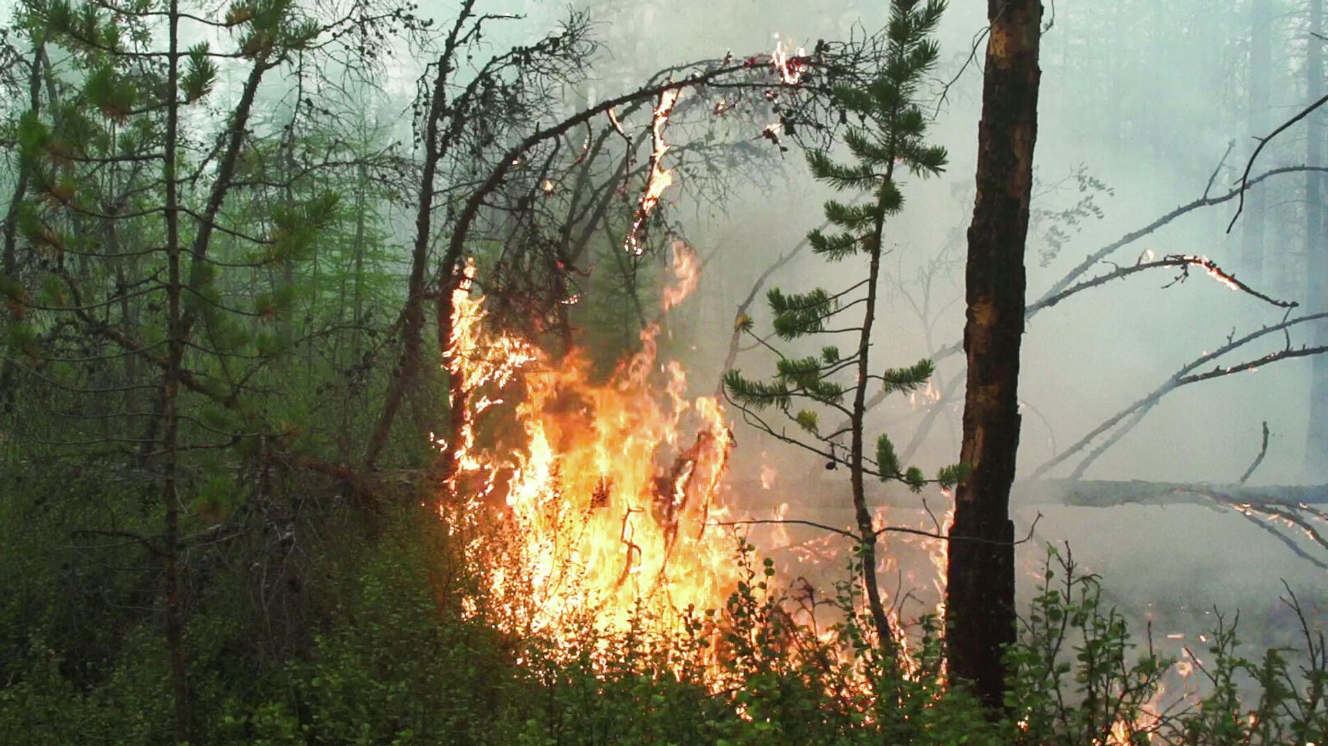 Дым от пожаров в Якутии дошел до Красноярского края