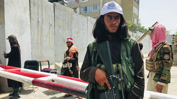 Пентагон: талибы предоставляли убежище 