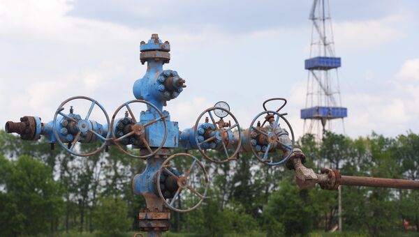 Юзовское месторождение сланцевого газа на Украине. Архивное фото Юзовское месторождение сланцевого газа на Украине. Архивное фото