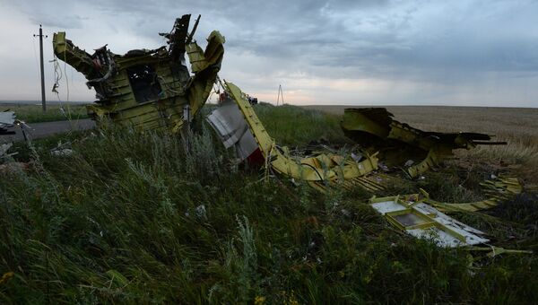 Крушение малайзийского Boeing на Украине Крушение малайзийского Boeing на Украине