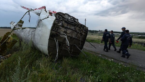 Крушение малайзийского Boeing на Украине Крушение малайзийского Boeing на Украине