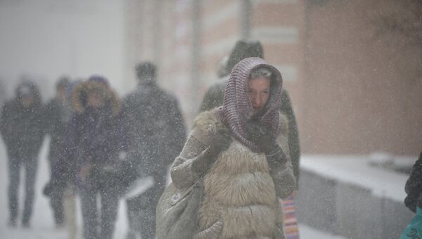 Снегопад в Москве Снегопад в Москве