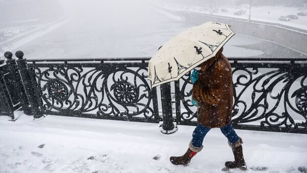 Прохожая на Патриаршем мосту в Москве во время снегопада Прохожая на Патриаршем мосту в Москве во время снегопада