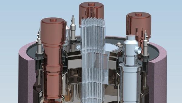 Схема атомного реактора на быстрых нейтронах БН-1200. Архивное фото Схема атомного реактора на быстрых нейтронах БН-1200. Архивное фото