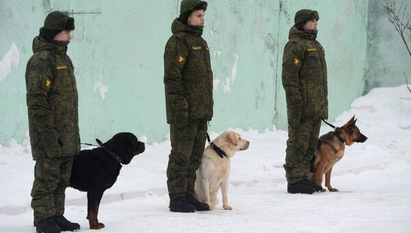 Фото военных кинологов