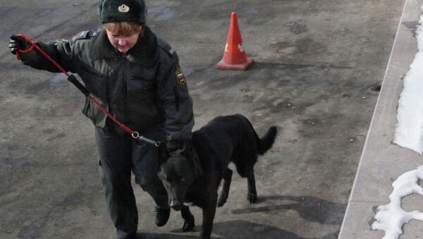 Сотрудница полиции с собакой. Архивное фото Сотрудница полиции с собакой. Архивное фото