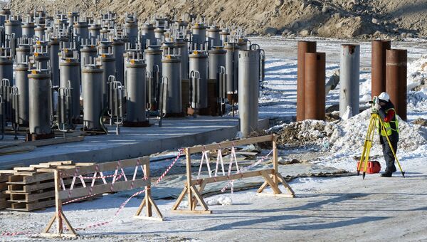 Строительство завода по производству сжиженного природного газа. Архивное фото Строительство завода по производству сжиженного природного газа. Архивное фото