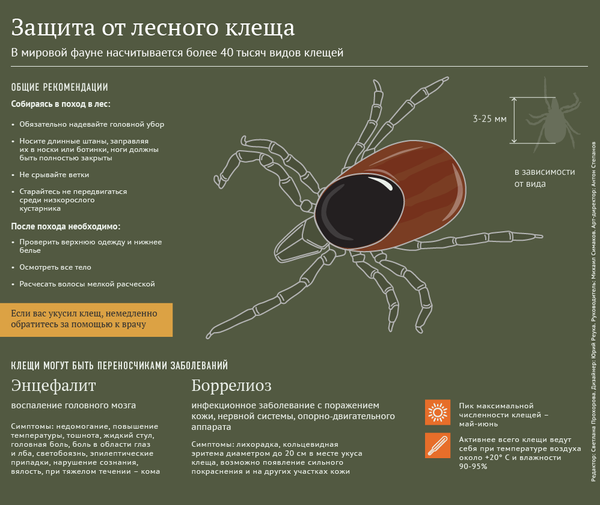 Защита от лесного клеща Защита от лесного клеща