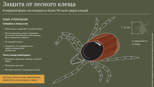 Защита от лесного клеща Защита от лесного клеща