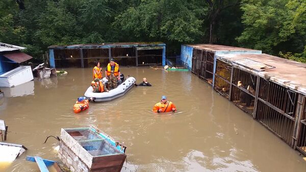 Спасатели по грудь в воде шли до клеток с медведями в зоопарке Уссурийска Спасатели по грудь в воде шли до клеток с медведями в зоопарке Уссурийска