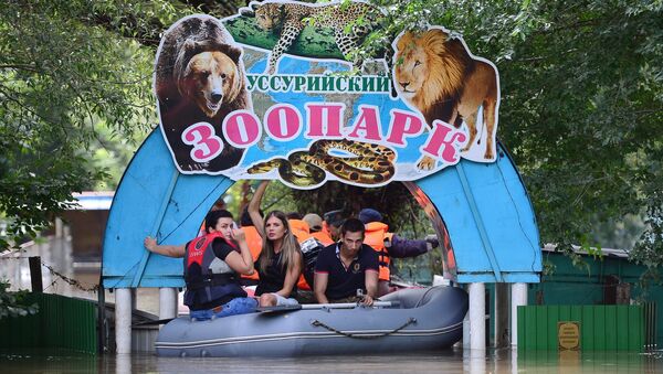 Уссурийский зоопарк после наводнения. Архивное фото Уссурийский зоопарк после наводнения. Архивное фото
